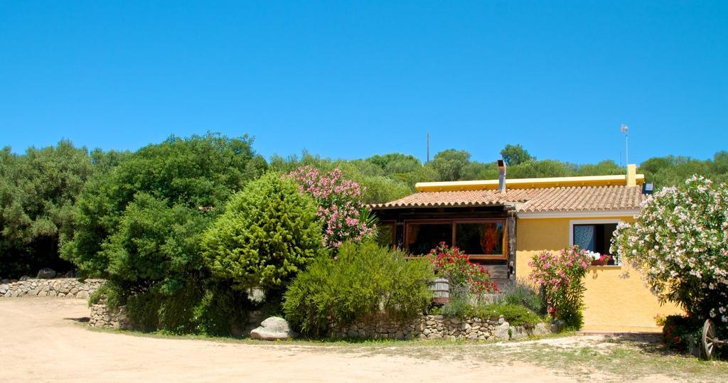 Agriturismo Sardo Villa Campavaglio Exterior foto